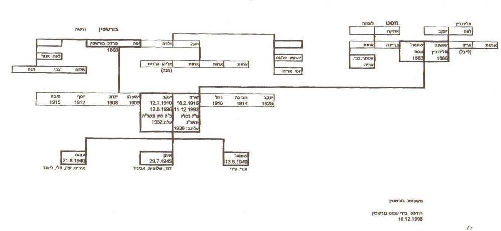 Burstein Family Tree 1996.jpg